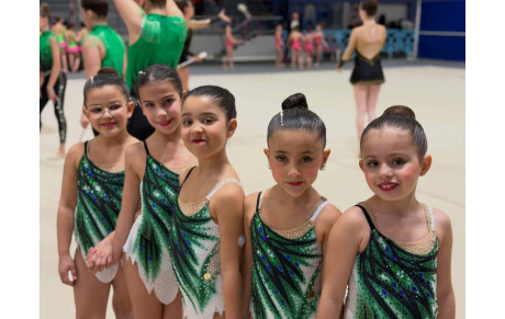 ENSEMBLE REGIONAL B 7/9 ML